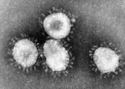 You are currently viewing Coronavirus Leads To School Closures